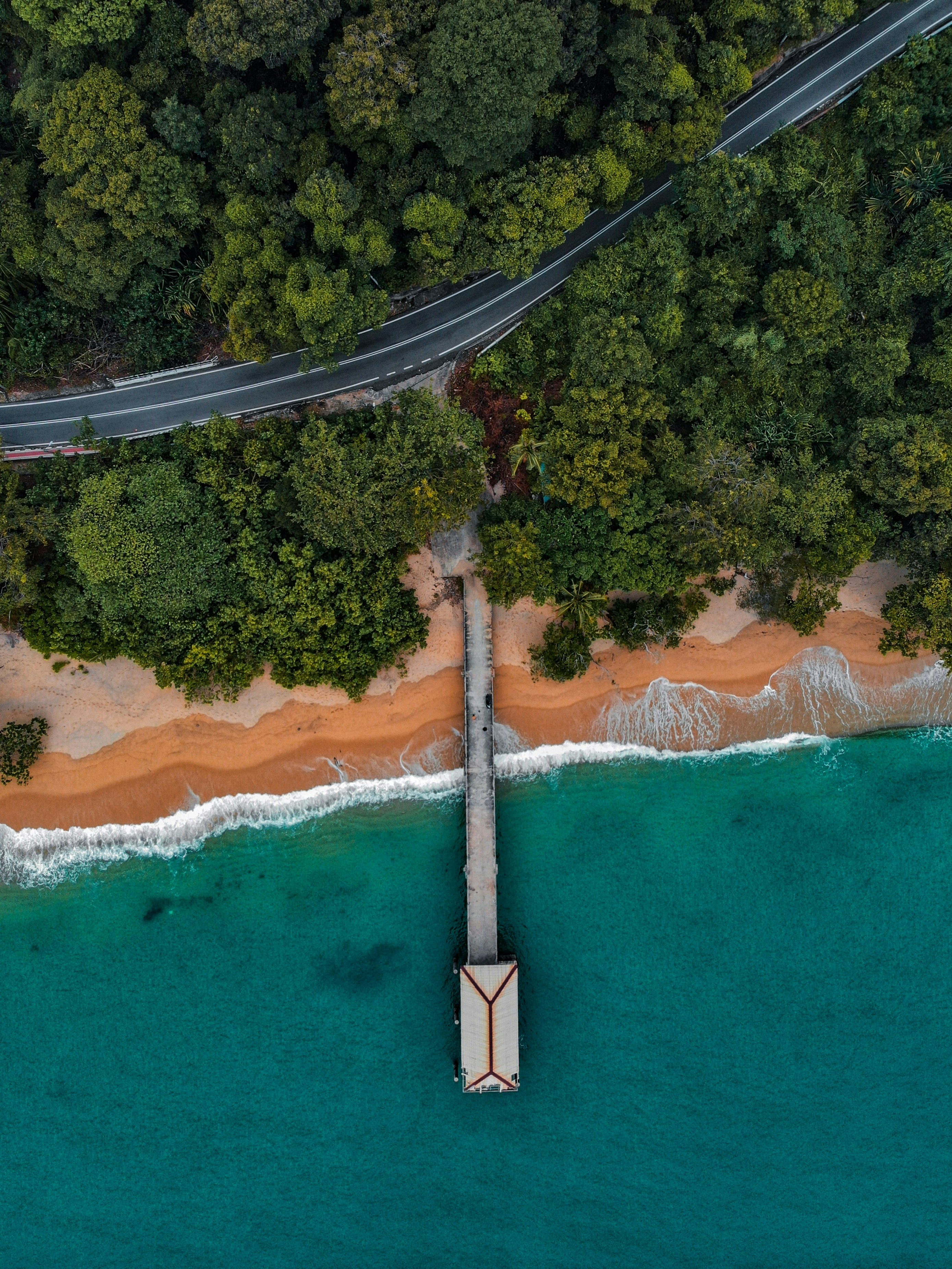 aerial view of people on beach during daytime